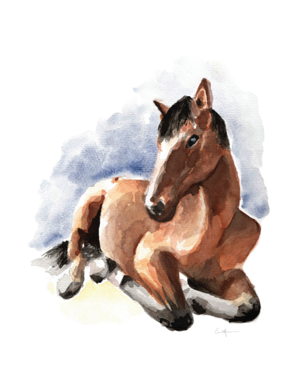 Watercolour painting of a horse reclining.