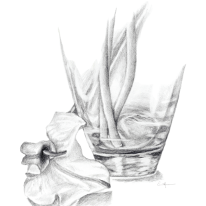 Black and white pencil drawing of a lily beside a glass vase.