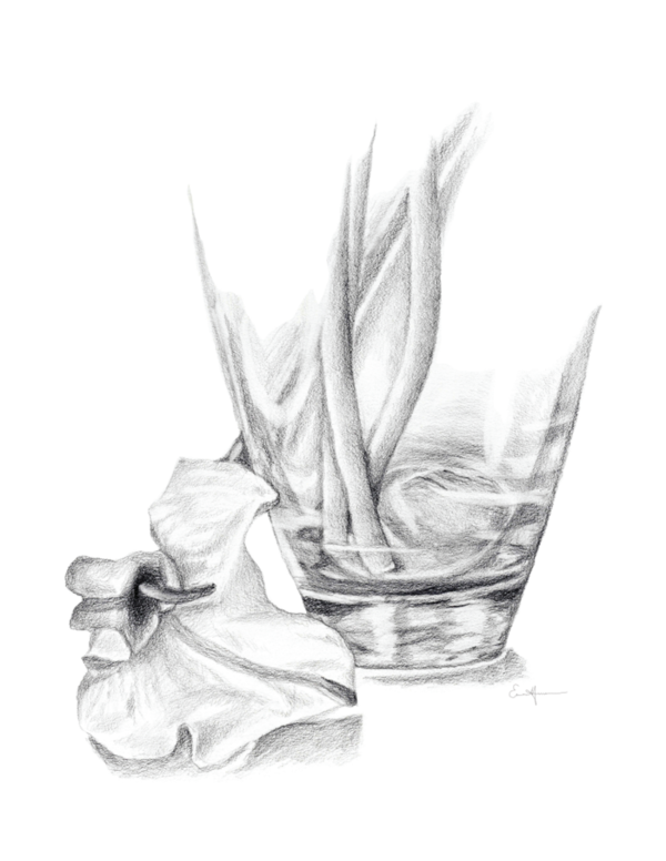 Black and white pencil drawing of a lily beside a glass vase.