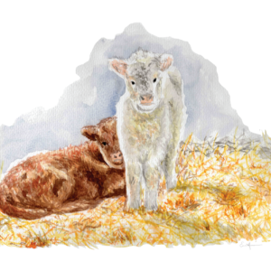 Watercolour painting of two cows sitting in the hay.