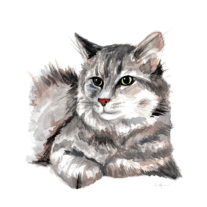 Watercolour painting of a cat reclining.