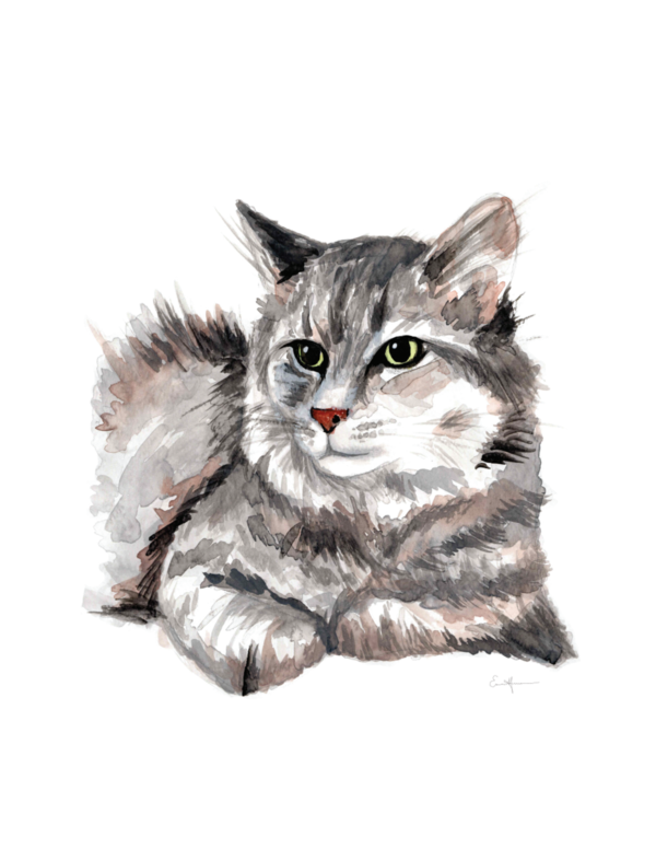 Watercolour painting of a cat reclining.