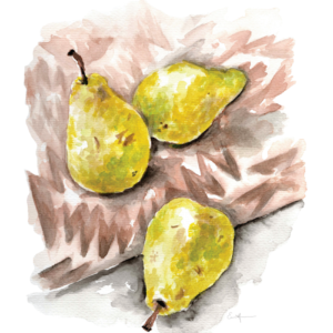 Watercolour painting of pears on a brown blanket.